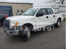 FORD F-150 F150 SUPER 2010