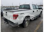 FORD F-150 F150 SUPER 2010