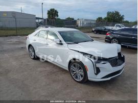 CADILLAC CT4 PREMIUM LUXURY 2024