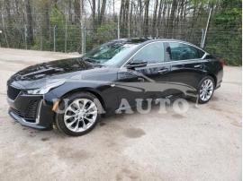 CADILLAC CT5 PREMIU 2023