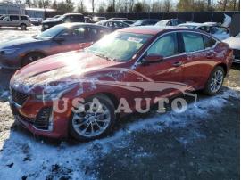 CADILLAC CT5 PREMIU 2023