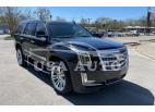 CADILLAC ESCALADE P 2019