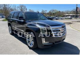 CADILLAC ESCALADE P 2019