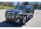 CADILLAC ESCALADE P 2019