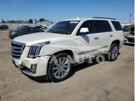 CADILLAC ESCALADE P 2015