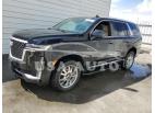 CADILLAC ESCALADE P 2023