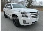 CADILLAC ESCALADE P 2016