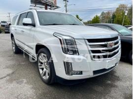 CADILLAC ESCALADE E 2017