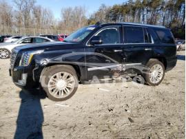 CADILLAC ESCALADE P 2015