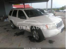 VOLKSWAGEN ROUTAN SEL 2010