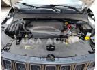 JEEP COMPASS TR 2020