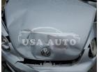 VOLKSWAGEN BEETLE TUR 2013