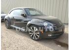 VOLKSWAGEN BEETLE TUR 2013