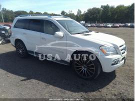 MERCEDES-BENZ GL-CLASS GL 450 2010