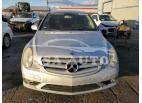 MERCEDES-BENZ R-CLASS R 500 2007