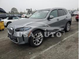 BMW X5 SDRIVE 2024