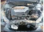 ACURA RL TECH PKG/TECH/CMBS W/PAX 2009