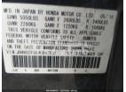 ACURA RL TECH PKG/TECH/CMBS 2010