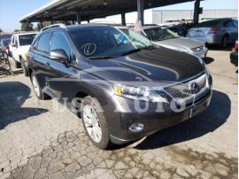 LEXUS RX 2010