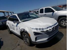 HYUNDAI NEXO LIMIT 2020