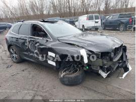 VOLVO XC60 T5 MOMENTUM 2019