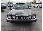 JAGUAR XJ6 1981