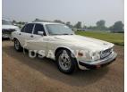 JAGUAR XJ6 1987