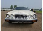 JAGUAR XJ6 1987