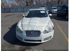 JAGUAR XF   2010