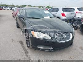 JAGUAR XF PREMIUM 2010