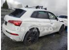 AUDI SQ5 PREMIU 2023