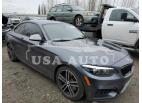 BMW M2 40XI 2019