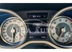 MERCEDES-BENZ SLK-CLASS SLK 250 2014