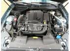 MERCEDES-BENZ SLK-CLASS SLK 250 2014