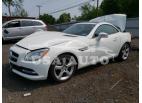 MERCEDES-BENZ SLK-CLASS SLK 250 2014