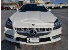 MERCEDES-BENZ SLK-CLASS SLK 250 2013