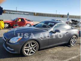 MERCEDES-BENZ SLK-CLASS SLK 250 2012