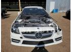 MERCEDES-BENZ SLK-CLASS SLK 250 2013