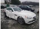 MERCEDES-BENZ SLK-CLASS SLK 250 2014