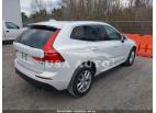 VOLVO XC60 T5 MOMENTUM 2021